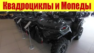 КВАДРОЦИКЛЫ И МОПЕДЫ 🛵🛵🛵. Сколько стоят ❓