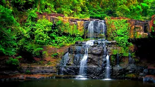 4K Virtual Forest Walk along Middle Fork Trail at Snoqualmie region. Part 1- 3 HR Relax Music