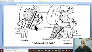 Anatomy GIT Module in Arabic 24 ( Duodenum , part 2  ) ,  by Wahdan