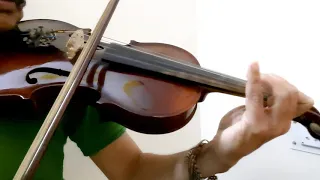 Chaudhavin Ka Chaand Ho (Violin Cover)