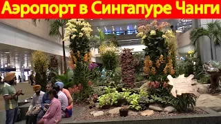 Сингапурский аэропорт Чанги (Singapore Changi Airport)