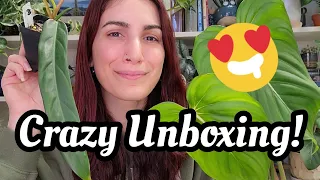 OMG THESE PLANTS!! 😍 Stunning Philodendron & Hoya from Jax's Jungle!! 🌿 wishlist plant unboxing