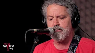 Meat Puppets - "Warranty" (Live at WFUV)