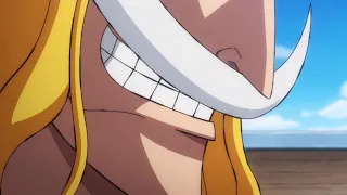 Whitebeard's Reaction to Roger becoming King of Pirates| The world cheer for Roger