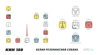 КИН 150. БЕЛАЯ РЕЗОНАНСНАЯ СОБАКА