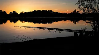 Carp Fishing a MEGA Oxfordshire Lake FULL of BIG carp!