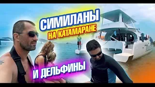 Таиланд. Симиланские острова на катамаране и дельфины! Это круто!