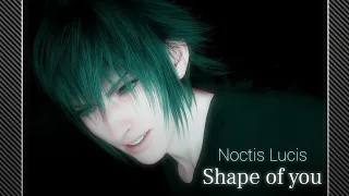 Noctis || SHAPE OF YOU