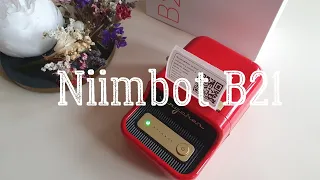 Распаковка, обзор и отзыв на портативный термопринтер Niimbot B21