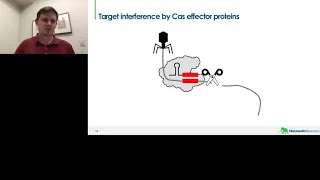 CRISPR Proteins: Enabling the Next-Generation of Molecular Diagnostics