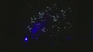 Beach House - Space Song live