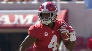 Jerry Jeudy Highlights 2018-19 Alabama WR | ᴴᴰ