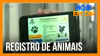 Registro de animais pode ser feito pela internet em SP