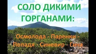 Соло-похід без намету і їжі дикими Горганами