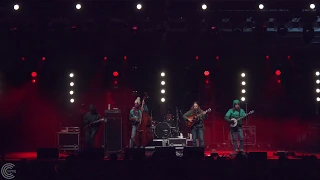 Billy Strings at Hillberry 2019