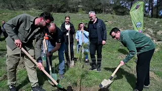 MBILLEN 3 MIJË PEMË NË PRUSH - News, Lajme - Kanali 7