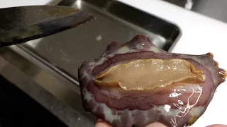 Eating a Giant Poisonous Sea Slug Almost Kills Me