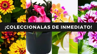 😲¡25 INCREÍBLES  FLORES VARIEGADAS BICOLORES🤩🌸🌷!   ¡¡VAS A QUERER TENERLAS EN CASA YA MISMO!!🙊�