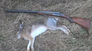 Охота на зайца от первого лица. Шёл прямо на зайца!!! Hare hunting in the first person