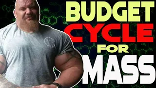Budget Minded Steroid Cycles
