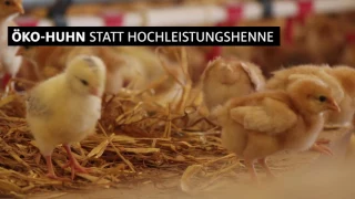 Ziele der Ökologischen Tierzucht