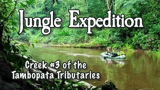 Solo Jungle Trip - Creek #3 Packrafting the Tambopata River Tributaries