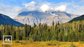 4K Mt Robson Ambience | Canadian Rockies | Mt Robson Provincial Park | White Noise for sleeping