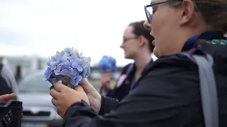 Folk Azores 2019 | Chegada dos Grupos 4