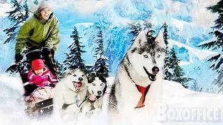 Chiens des Neiges | Film Complet en Français | Aventure, Famille