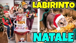 LABIRINTO DI NATALE per il Nostro CRICETO Polpetta e Auguri Famiglia GBR