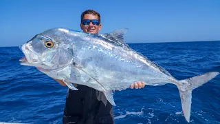 GIANT African Pompano! Catch Clean Cook (Slow Pitch Jigging)