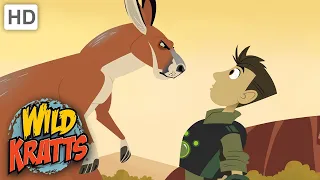 Wild Kratts | Kickin' It With the Roos | Full Episode | Season 1