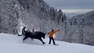 Сочи, Бык на Розе Хутор 🤷‍♂️ 🏔️🏂