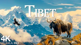 Tibet 4K Drone - Scenic Relaxation Film With Calming Music - 4K Video Ultra HD