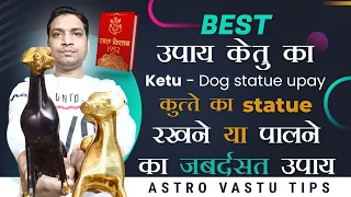 Best Remedy For Ketu by Dog Statue  | Astrovastu Remedies  | कुत्ता घर में रखने या सेवा का उपाय