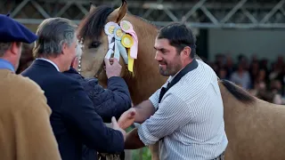 Documental de la Raza Criolla por sus primeros 100 años