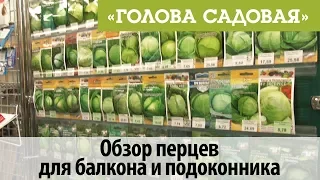 Голова садовая - Полный обзор семян капусты