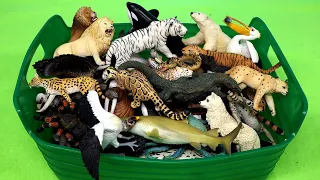 Carnivorous, Herbivorous and Omnivorous Animals - Learn Animal Names with Figurines