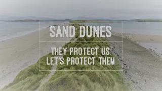 2. Sand Dunes: Natural Protection