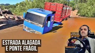 ESTRADA ALAGADA E PONTE FRÁGIL NA FAZENDA - Vida de Caminhoneiro #119 - Euro Truck Simulator 2