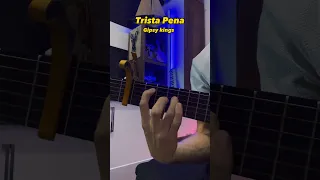 Trista Pena - Gipsy kings guitar chords #guitar #viral  #music