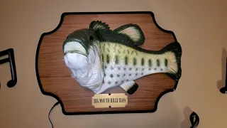 Jumbo Billy Bass Demo