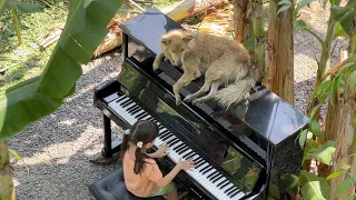 Emilie practicing "LA57" by Alessandra Celletti with Sharky the Dog