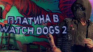 КАК ПОЛУЧИТЬ ПЛАТИНУ В WATCH DOGS 2?