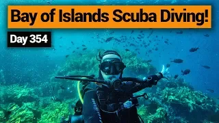 🤿 Scuba Diving in the Bay of Islands – New Zealand's Biggest Gap Year – Backpacker Guide New Zealand