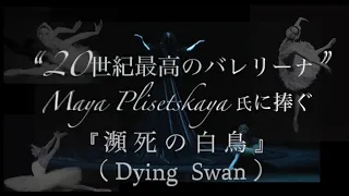 【Dying Swan】Умирающий лебедь／瀕死の白鳥 ＜Original ver.＞