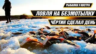 Безмотылка!Ловля окуня на чёртик с подсадкой одного мотыля.Результат поразил.Осваиваю технику ловли.