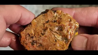 wisconsin rock stalker V77 amazing mushroom rhyolite