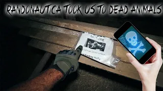 THE RANDONAUTICA CHALLENGE // IT TOOK US TO THE MISSING DEAD DOG!