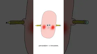 Что такое дислексия? #Shorts